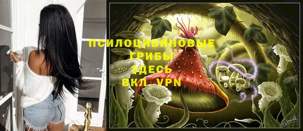 a pvp Аркадак
